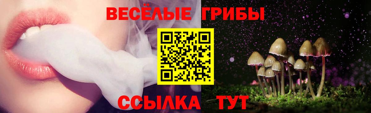 Калуга  Галлюциногенные грибы GOLDEN TEACHER  Вход с VPN 